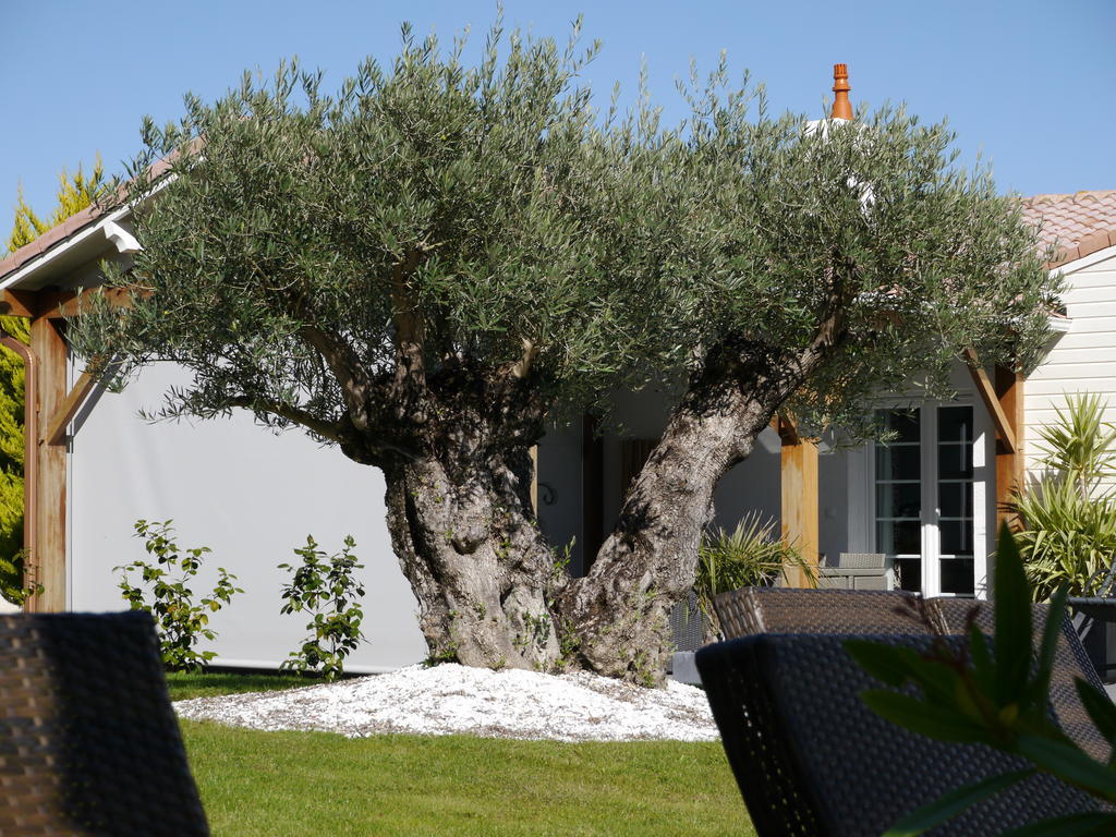 Une Escale A Pornic Chambres D'Hotes 4 Epis Exterior photo
